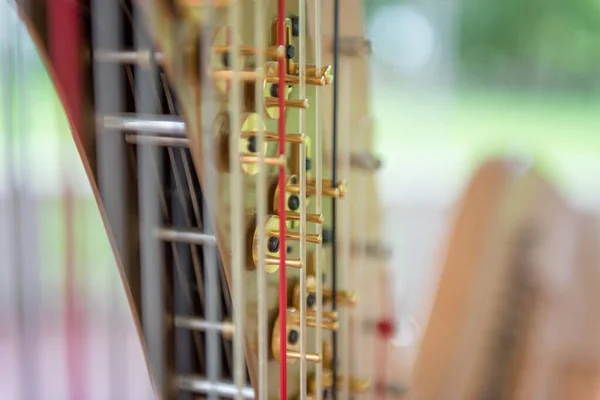 Luxury Harp Music Instrument Close Chord String — ストック写真