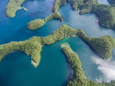 Palau 'daki Koror Adası. Takımada, Mikronezya Bölgesi 'nin bir parçası. Drone Bakış Açısı