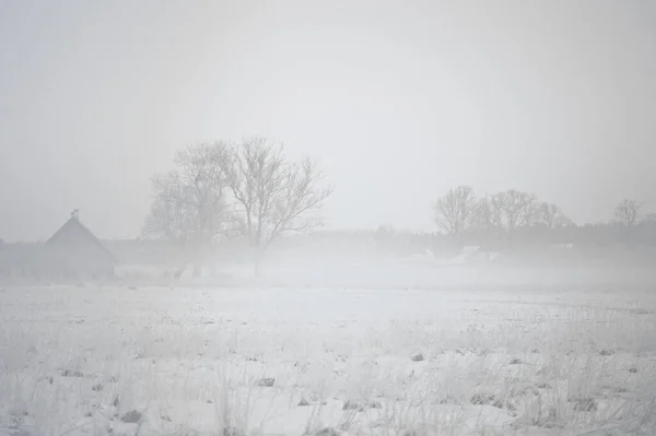 Misty Snowy Morning Landscape Lithuania Inglés Zona Rural —  Fotos de Stock