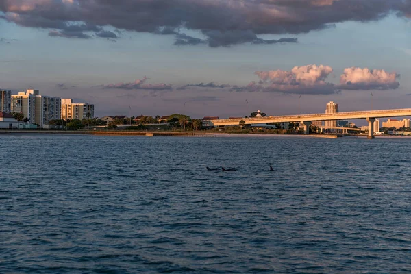 佛罗里达州清水海滩的落日 — 图库照片