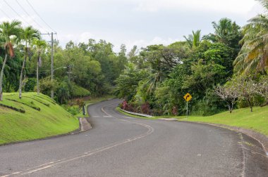 Palau 'daki Boş Viraj Yolu. Yeşil Palmiye ve Yol İşareti. Mikronezya