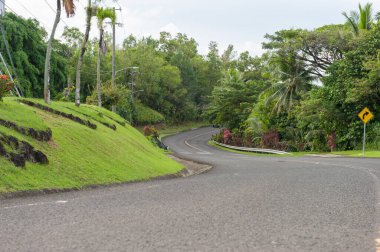 Palau 'daki Boş Viraj Yolu. Yeşil Palmiye ve Yol İşareti. Mikronezya