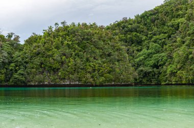 Koror, Palau 'daki Doğa ve Peyzaj. Ada ve su..