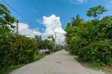 Koror, Palau 'da bir sokak. Mikronezya