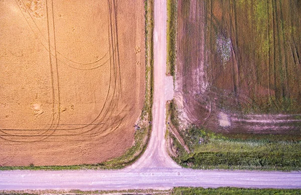 Погляд Згори Пшеницю Пуста Сільська Дорога Литві Масейкаї — стокове фото