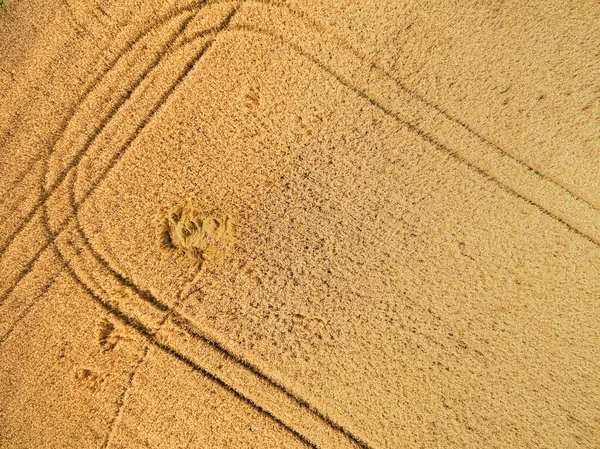 田里的小麦 乡村音乐 拖拉机路 空中视野 风景如画的乡村风景 — 图库照片