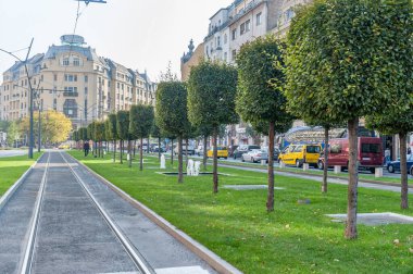 BUDAPEST, HUNGARY - 26 Ekim 2015: Budapeşte tramvay hattı. Arka planda köpeği olan insanlar. Arkaplanda da yeşil alan