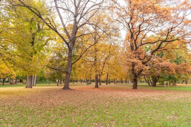 Macaristan, Budapeşte 'deki Margaret Adası' na park et.