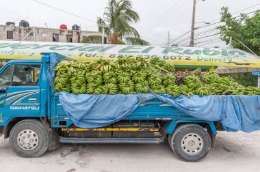 PUNTA CANA, DOMINICAN REPUBLIC - 18 Haziran 2015: Kamyon Plantains Fruit dolu. Çiğ