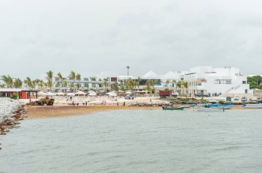 PUNTA CANA, DOMINICAN REPUBLIC - 18 Haziran 2015: Plajdaki Sudan Ot Çıkarmaya Çalışan Yerel İnsanlar. Lüks Sınıf Punta Cana, Dominik Cumhuriyeti.