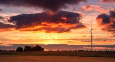 Günbatımı ve Buğday Tarlası ve Yel değirmeni arka planda. Yanan Kırmızı Bulutlar