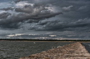 Letonya, Baltık Denizi 'nde dalgalar. Arka planda Uçan Martı ile