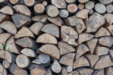 Firewood Outdoor, Kahverengi Arkaplan. Yığının içinde kurumuş odun kütükleri