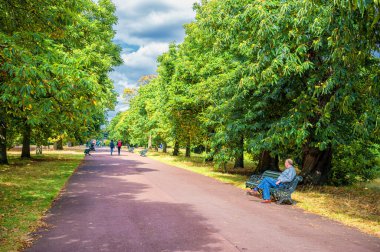 LONDON, İngiltere - 21 AĞUSTOS 2016: Greenwich Park, Londra, İngiltere.