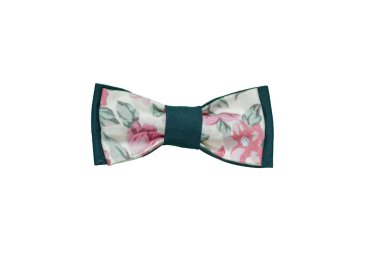 Beyaz Arkaplanda Renkli Papyon İzole Edildi