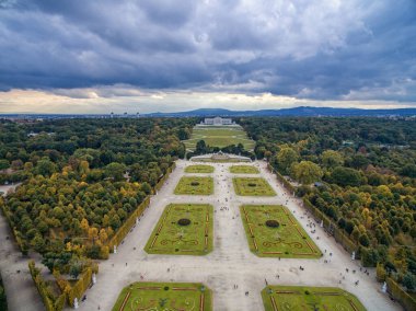 Viyana 'daki Schonbrunn Sarayı ve Bahçesi Park ve Çiçek Dekorasyonu. Avusturya, Viyana 'da Gezici Nesne.