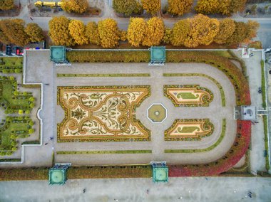 Viyana 'daki Schonbrunn Sarayı ve Bahçesi Park ve Çiçek Dekorasyonu. Avusturya, Viyana 'da Gezici Nesne.