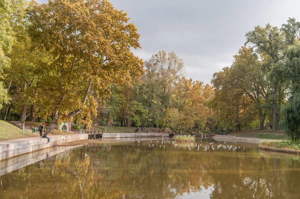 Budapest Węgry Październik 2015 Plac Bohaterów Parl Jeziorem Jesiennymi Drzewami — Zdjęcie stockowe