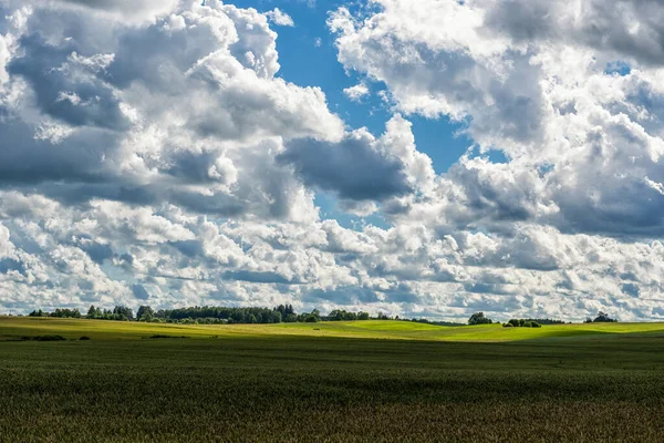 Landschap Met Tarweveld Troebele Blauwe Lucht Achtergrond Zonlicht Brede Schaduwgebieden — Stockfoto