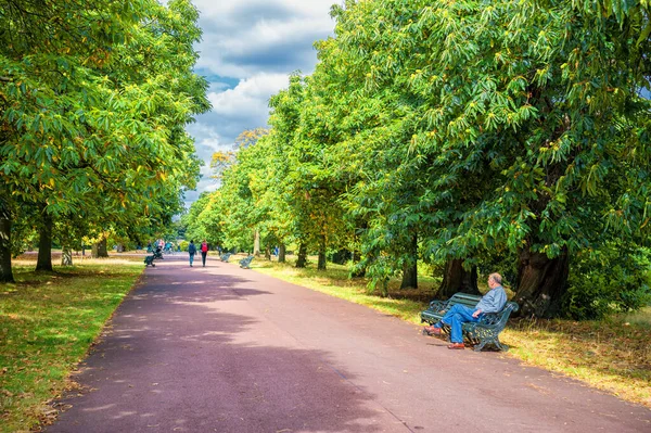 stock image LONDON, ENGLAND - AUGUST 21, 2016: Path in Greenwich Park, London, England.