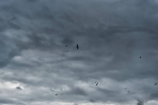 stock image Beautiful Stormy Clouds. Perfect for Background. Beautiful Nature. Thunderclouds