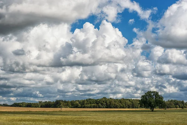 美丽多云的天空与大自然 — 图库照片