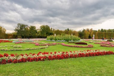 VIENNA, AUSTRIA - 08 Ekim 2016: Viyana 'daki Schonbrunn Sarayı ve Bahçesi Park ve Çiçek Dekorasyonu. Avusturya, Viyana 'da Gezici Nesne.