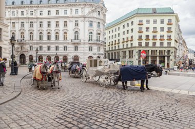 Vienna, AUSTRIA - 10 Ekim 2016: Viyana, Avusturya 'da At Taşımacılığı. Turistler için Cazibe.