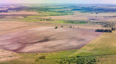 Litvanya 'da manzara ve doğa. Buğday tarlası. Kuş Görünümü.