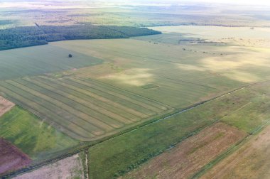 Litvanya 'da manzara ve doğa. Buğday tarlası. Kuş Görünümü.