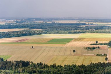 Litvanya 'da manzara ve doğa. Buğday ve orman tarlası. Bird 'ün görüntüsü. Arkaplanda Fırtına