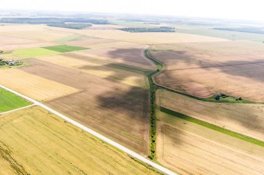Litvanya 'da manzara ve doğa. Buğday tarlası. Kuş Görünümü.