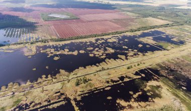Litvanya 'da manzara. Arka planda orman olan doğa. Arkaplanda turba alanı