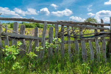 Kırsal bölgedeki eski ahşap çit. Yeşil Çimen ve Mavi Gökyüzü