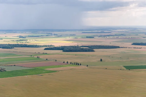 stock image Landscape and Nature in Lithuania. Field Of Wheat and forest. View of Bird. Storm Clouds in Background