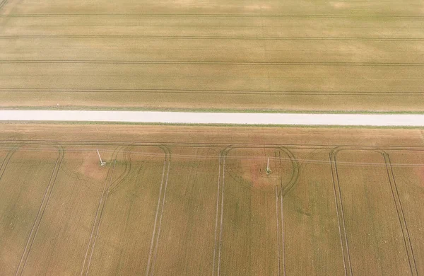 Пейзаж Природа Литве Пшеничное Поле Дорога Вид Птицу — стоковое фото