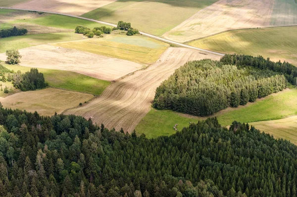 リトアニアの風景 背景に森がある自然 小麦と空のロードのフィールド — ストック写真