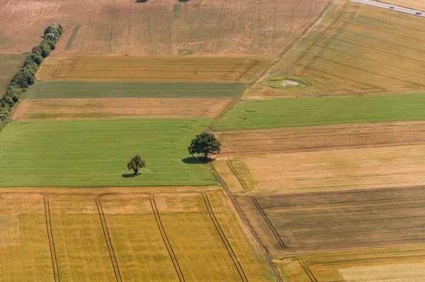 Schöne Landschaft Litauen Natur Mit Weizenfeld — Stockfoto