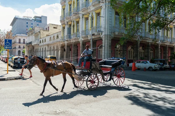 Havana Cuba October 2017 Colorful Havana Old Town Architecture Horse — стокове фото