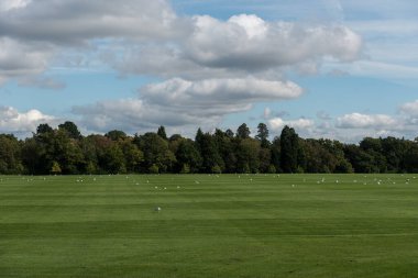 İngiltere 'de Windsor Büyük Parkı' ndaki manzara Çimlerin üzerinde Kuşlar