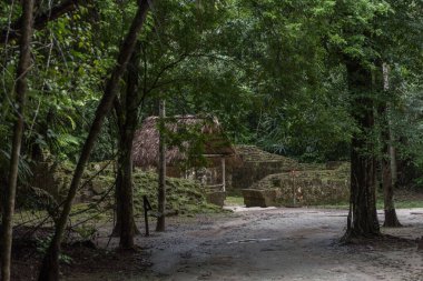 Piramit ve Tikal Park 'taki tapınak. Guatemala 'da Maya tapınakları ve seremoni kalıntıları olan gezici bir nesne. Tikal, Kuzey Guatemala 'nın Yağmur Ormanları' nda bulunan eski bir Maya Kalesidir. Tamamlayıcı R