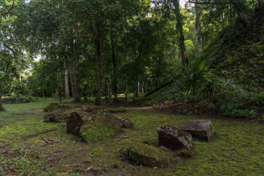 Piramit ve Tikal Park 'taki tapınak. Guatemala 'da Maya tapınakları ve seremoni kalıntıları olan gezici bir nesne. Tikal, Kuzey Guatemala 'daki yağmur ormanlarında bulunan antik bir Maya Kalesidir..