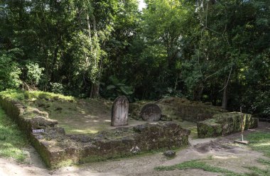 Piramit ve Tikal Park 'taki tapınak. Guatemala 'da Maya tapınakları ve seremoni kalıntıları olan gezici bir nesne. Tikal, Kuzey Guatemala 'nın Yağmur Ormanları' nda bulunan eski bir Maya Kalesidir. Sunak V