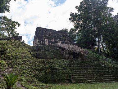 Piramit ve Tikal Park 'taki tapınak. Guatemala 'da Maya tapınakları ve seremoni kalıntıları olan gezici bir nesne. Tikal, Kuzey Guatemala 'daki yağmur ormanlarında bulunan antik bir Maya Kalesidir..