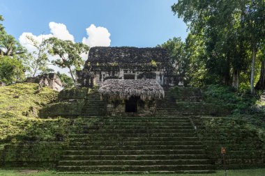 Piramit ve Tikal Park 'taki tapınak. Guatemala 'da Maya tapınakları ve seremoni kalıntıları olan gezici bir nesne. Tikal, Kuzey Guatemala 'daki yağmur ormanlarında bulunan antik bir Maya Kalesidir..