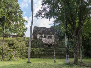 Piramit ve Tikal Park 'taki tapınak. Guatemala 'da Maya tapınakları ve seremoni kalıntıları olan gezici bir nesne. Tikal, Kuzey Guatemala 'daki yağmur ormanlarında bulunan antik bir Maya Kalesidir..