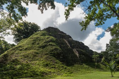 Piramit ve Tikal Park 'taki tapınak. Guatemala 'da Maya tapınakları ve seremoni kalıntıları olan gezici bir nesne. Tikal, Kuzey Guatemala 'daki yağmur ormanlarında bulunan antik bir Maya Kalesidir..
