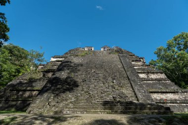 Piramit ve Tikal Park 'taki tapınak. Guatemala 'da Maya tapınakları ve seremoni kalıntıları olan gezici bir nesne. Tikal, Kuzey Guatemala 'daki yağmur ormanlarında bulunan antik bir Maya Kalesidir..