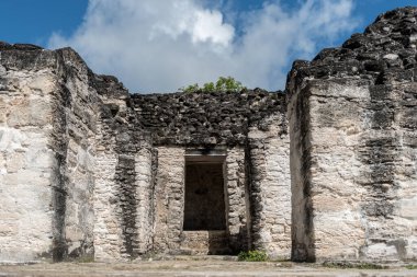 Piramit ve Tikal Park 'taki tapınak. Guatemala 'da Maya tapınakları ve seremoni kalıntıları olan gezici bir nesne. Tikal, Kuzey Guatemala 'daki yağmur ormanlarında bulunan antik bir Maya Kalesidir..