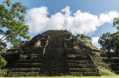 Piramit ve Tikal Park 'taki tapınak. Guatemala 'da Maya tapınakları ve seremoni kalıntıları olan gezici bir nesne. Tikal, Kuzey Guatemala 'daki yağmur ormanlarında bulunan antik bir Maya Kalesidir..
